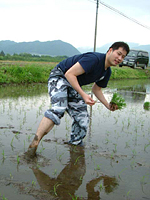 クリックすると大きな画像が出てきます。