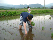 クリックすると大きな画像が出てきます。