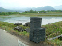 クリックすると大きな画像が出てきます。