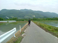 クリックすると大きな画像が出てきます。