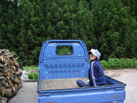 クリックすると大きな画像が出てきます。