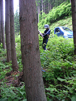 クリックすると大きな画像が出てきます。