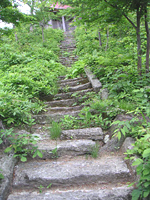 クリックすると大きな画像が出てきます。