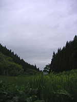 クリックすると大きな画像が出てきます。