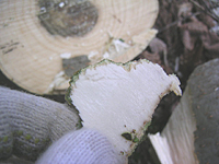 クリックすると大きな画像が出てきます。