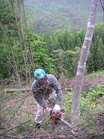 クリックすると大きな画像が出てきます。