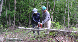 クリックすると大きな画像が出てきます。