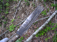 クリックすると大きな画像が出てきます。