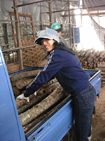 クリックすると大きな画像が出てきます。