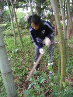 クリックすると大きな画像が出てきます。