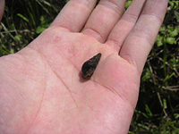 クリックすると大きな画像が出てきます。