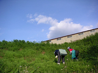 クリックすると大きな画像が出てきます。