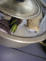 クリックすると大きな画像が出てきます。