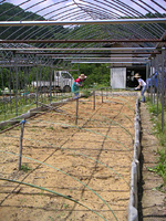 クリックすると大きな画像が出てきます。