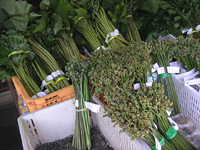 クリックすると大きな画像が出てきます。