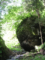 クリックすると大きな画像が出てきます。