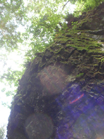 クリックすると大きな画像が出てきます。