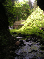 クリックすると大きな画像が出てきます。