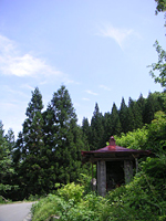 クリックすると大きな画像が出てきます。