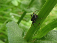 クリックすると大きな画像が出てきます。