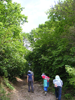 クリックすると大きな画像が出てきます。