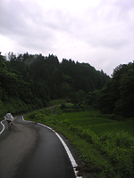 クリックすると大きな画像が出てきます。