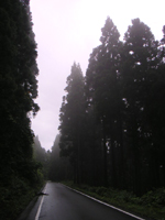 クリックすると大きな画像が出てきます。