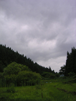 クリックすると大きな画像が出てきます。