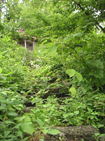 クリックすると大きな画像が出てきます。