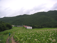 クリックすると大きな画像が出てきます。