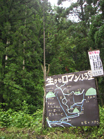 クリックすると大きな画像が出てきます。