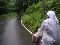 クリックすると大きな画像が出てきます。