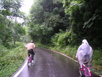 クリックすると大きな画像が出てきます。