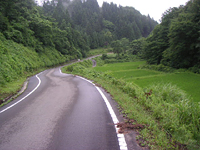 クリックすると大きな画像が出てきます。