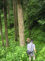 クリックすると大きな画像が出てきます。