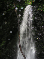 クリックすると大きな画像が出てきます。