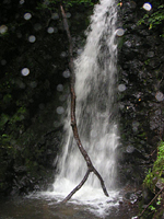 クリックすると大きな画像が出てきます。