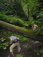 クリックすると大きな画像が出てきます。