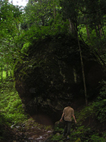 クリックすると大きな画像が出てきます。