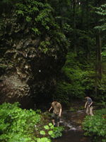 クリックすると大きな画像が出てきます。