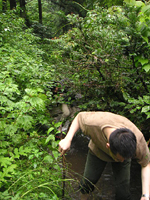 クリックすると大きな画像が出てきます。