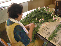 クリックすると大きな画像が出てきます。