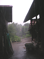 クリックすると大きな画像が出てきます。