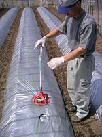 クリックすると大きな画像が出てきます。