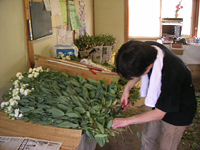 クリックすると大きな画像が出てきます。