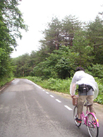 クリックすると大きな画像が出てきます。