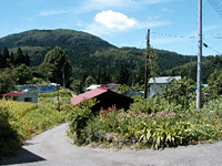 クリックすると大きな画像が出てきます。