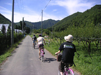 クリックすると大きな画像が出てきます。