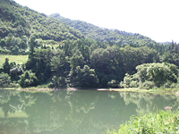 クリックすると大きな画像が出てきます。