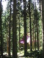 クリックすると大きな画像が出てきます。